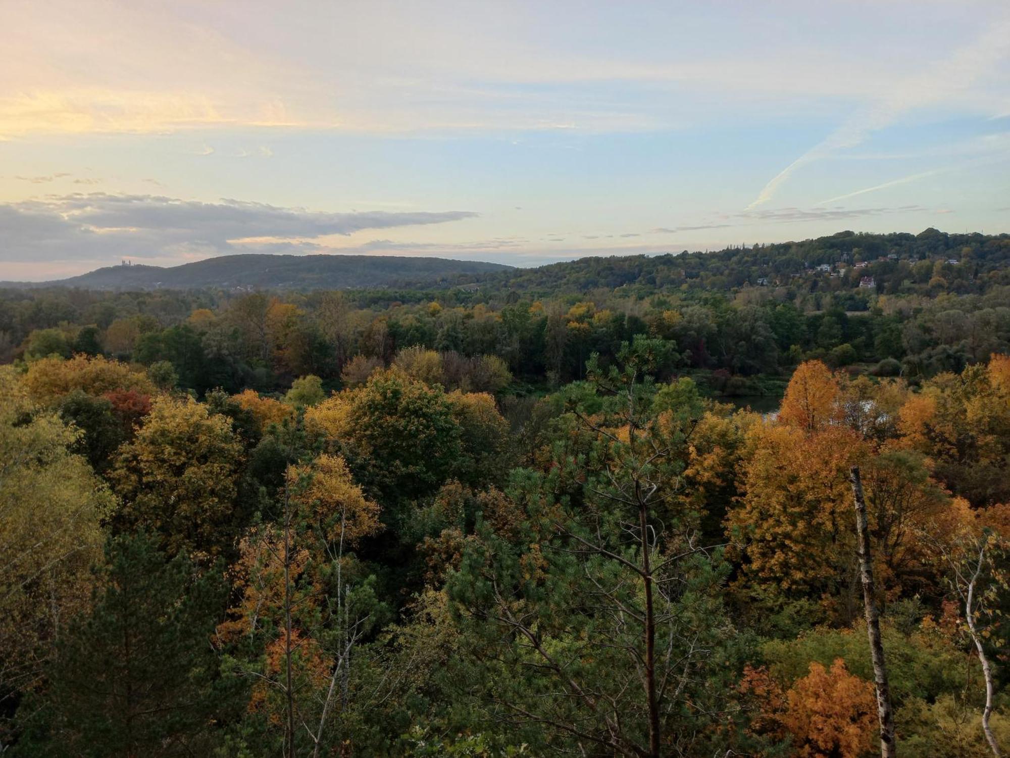 Greenthumb Praska Krakau Buitenkant foto