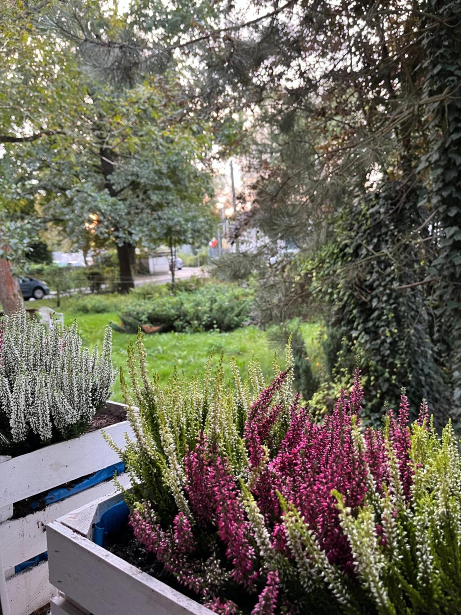 Greenthumb Praska Krakau Buitenkant foto
